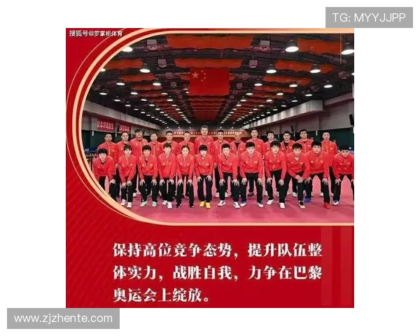 深圳排球队近期状态分析与表现评估全面解读